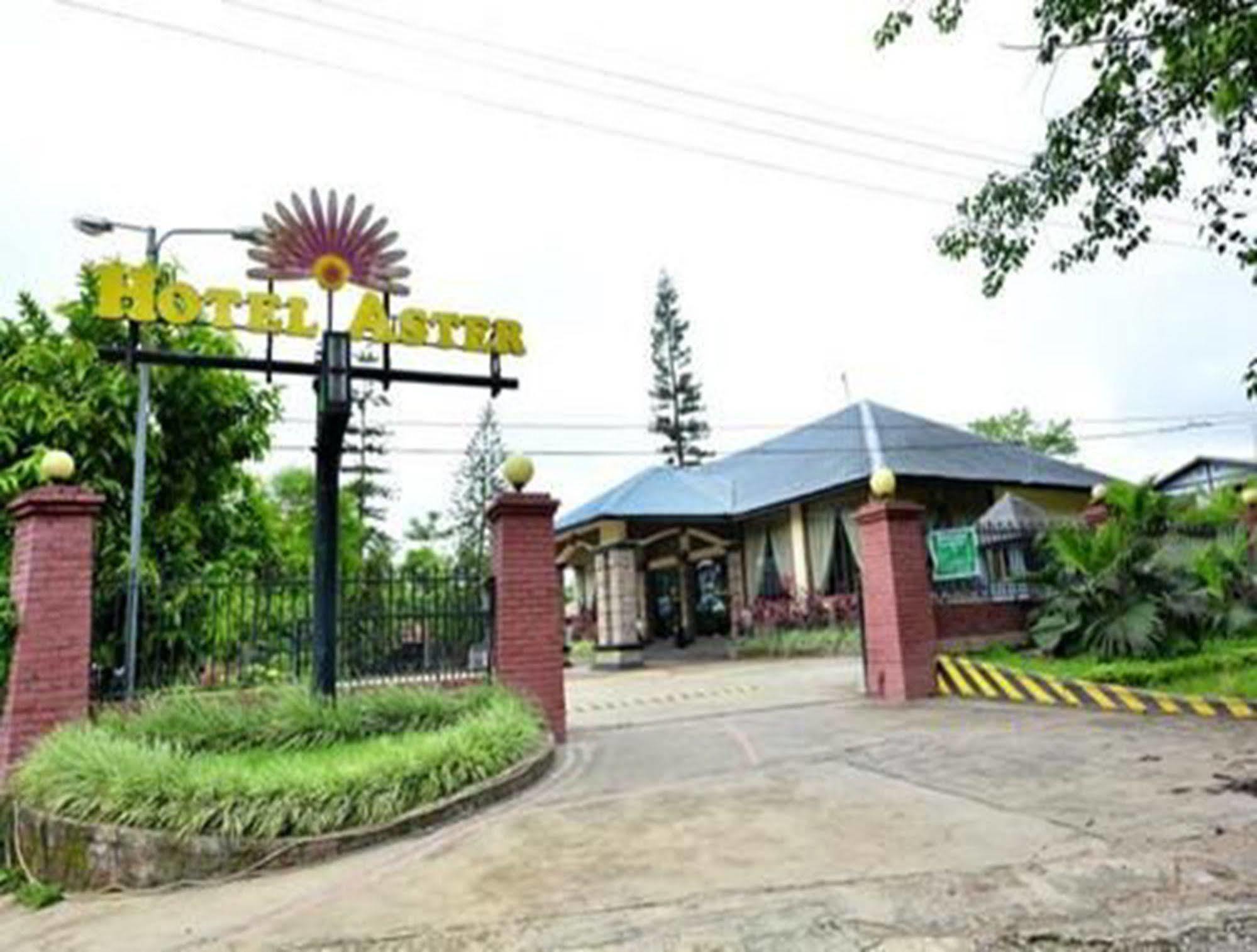 Hostel Aster *